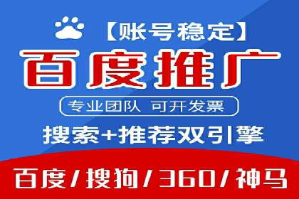 顶级SEM运营公司案例分析